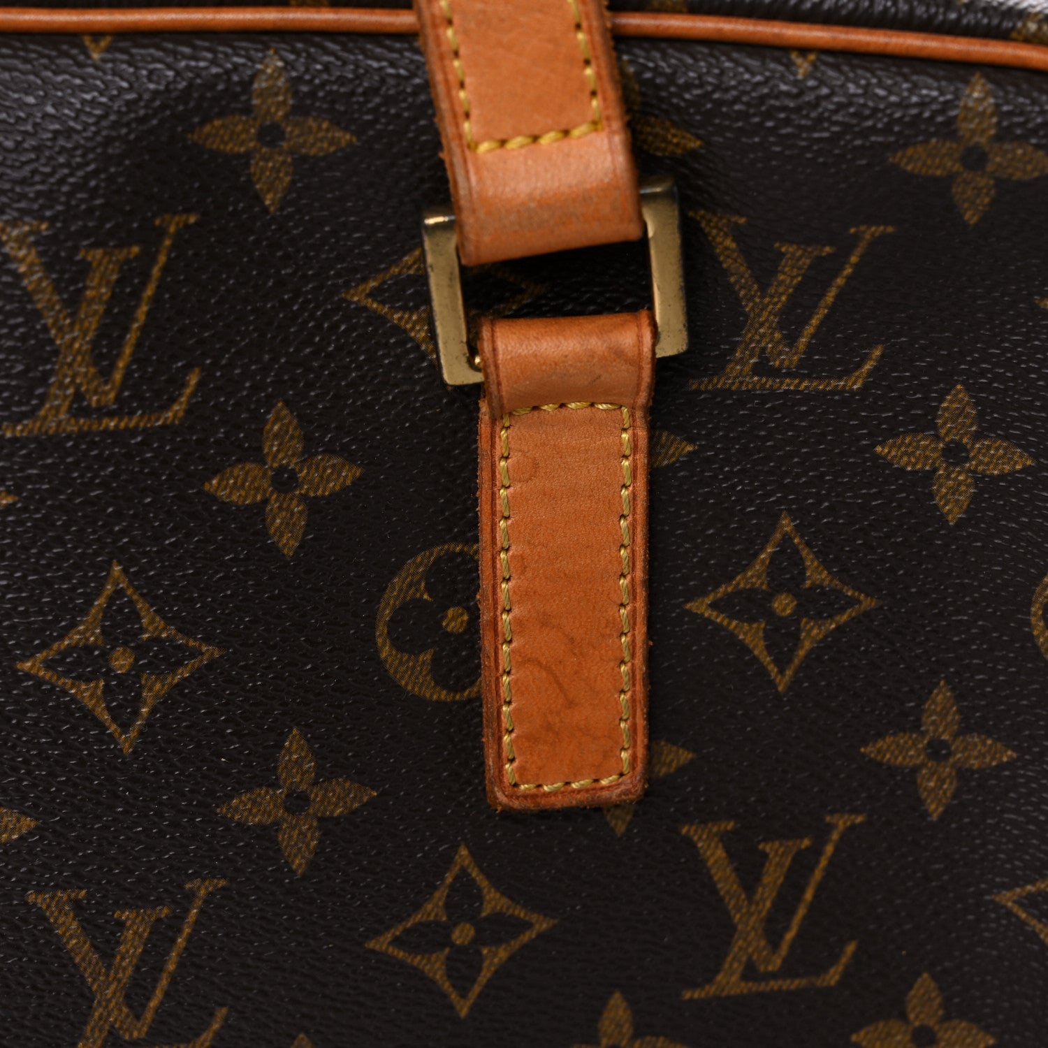 Louis Vuitton Monogram Cite GM 18 of 34