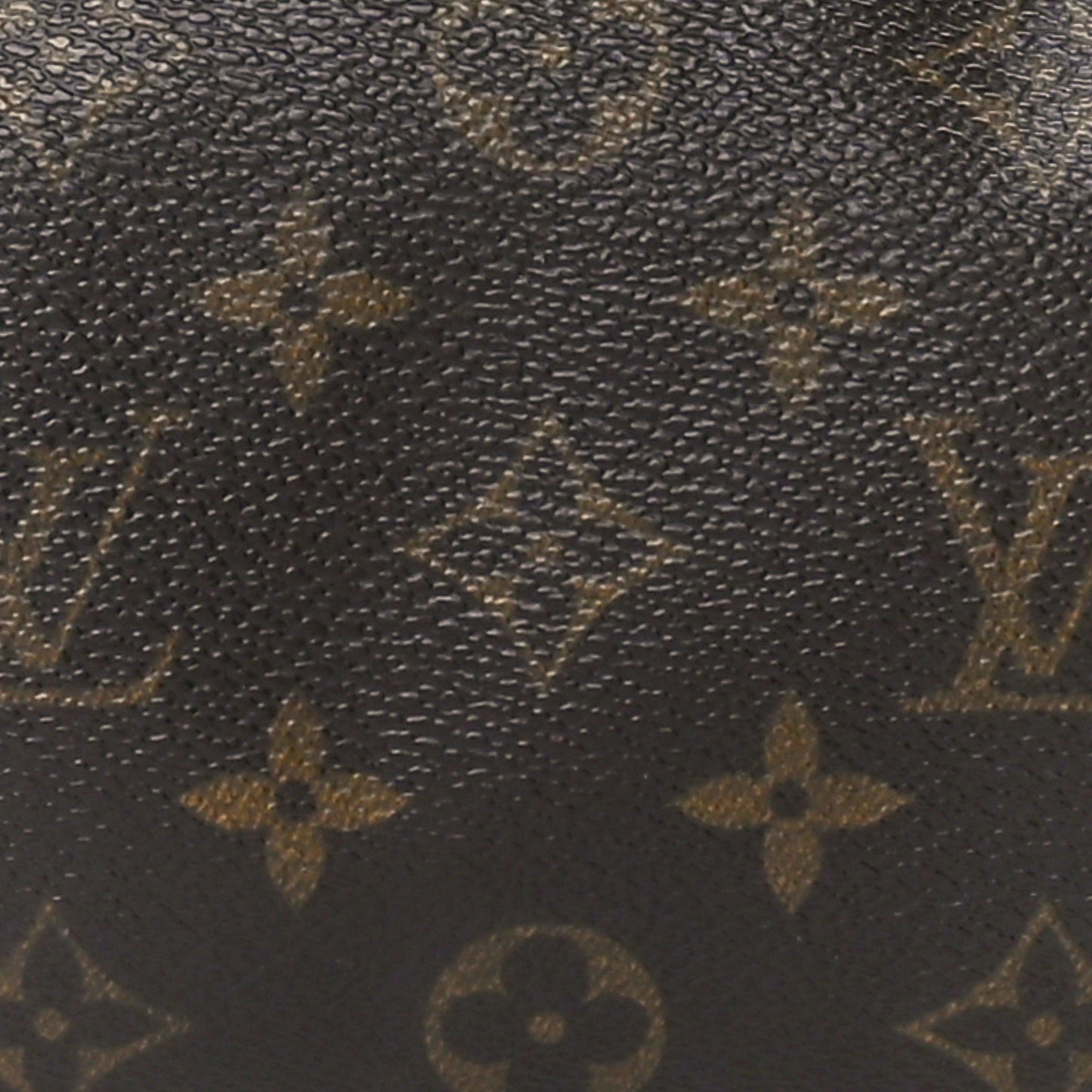 Monogram Papillon 30