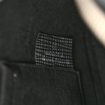 Louis Vuitton Epi Alma BB Platine 7 of 11