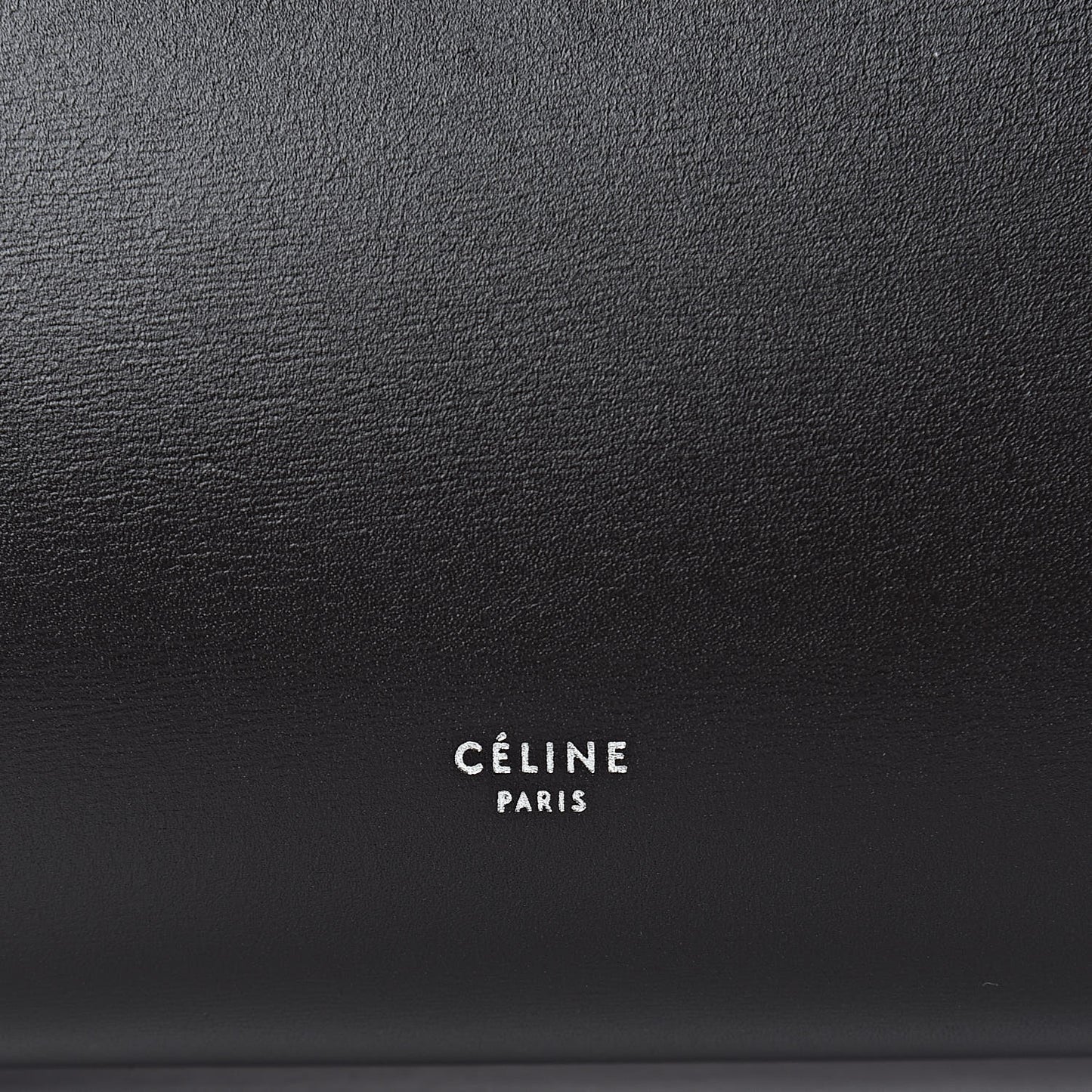 Palmelato Calfskin Mini Belt Bag Espresso
