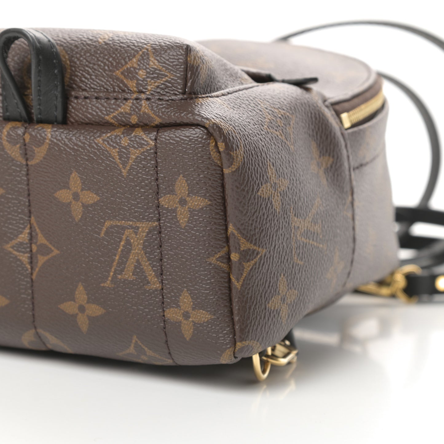 Monogram Palm Springs Backpack Mini