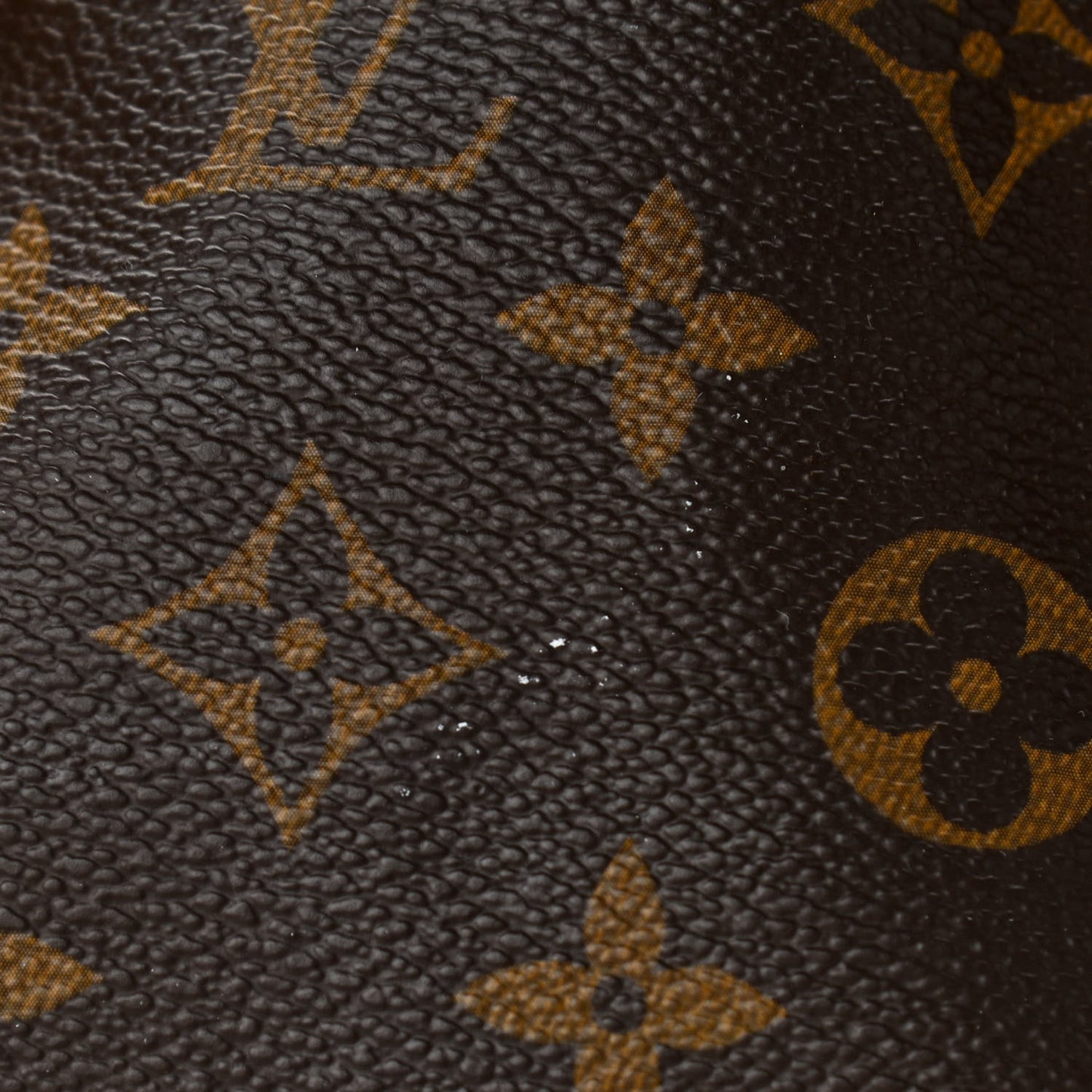Monogram Petit Noe