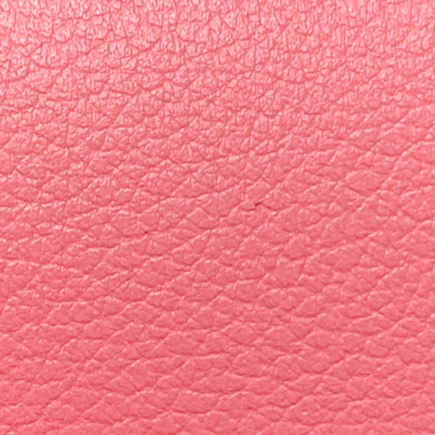 Evercolor Constance 24 Rose Azalee