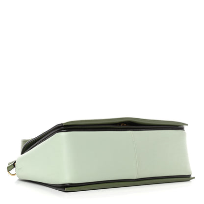 Celine Shiny Smooth Calfskin Medium Frame Shoulder Bag Olive Pastel Green 3 of 4