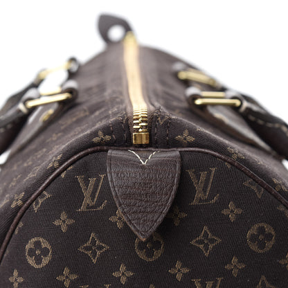 Louis Vuitton Mini Lin Speedy 30 Ebene 8 of 9