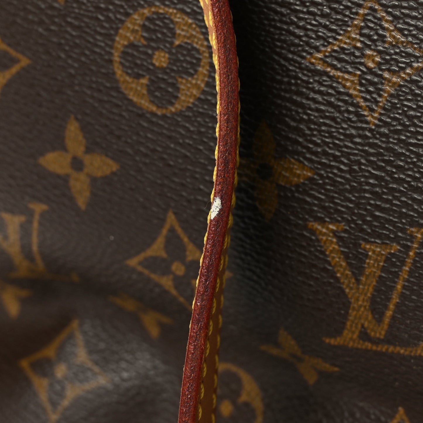 Monogram Cabas Mezzo