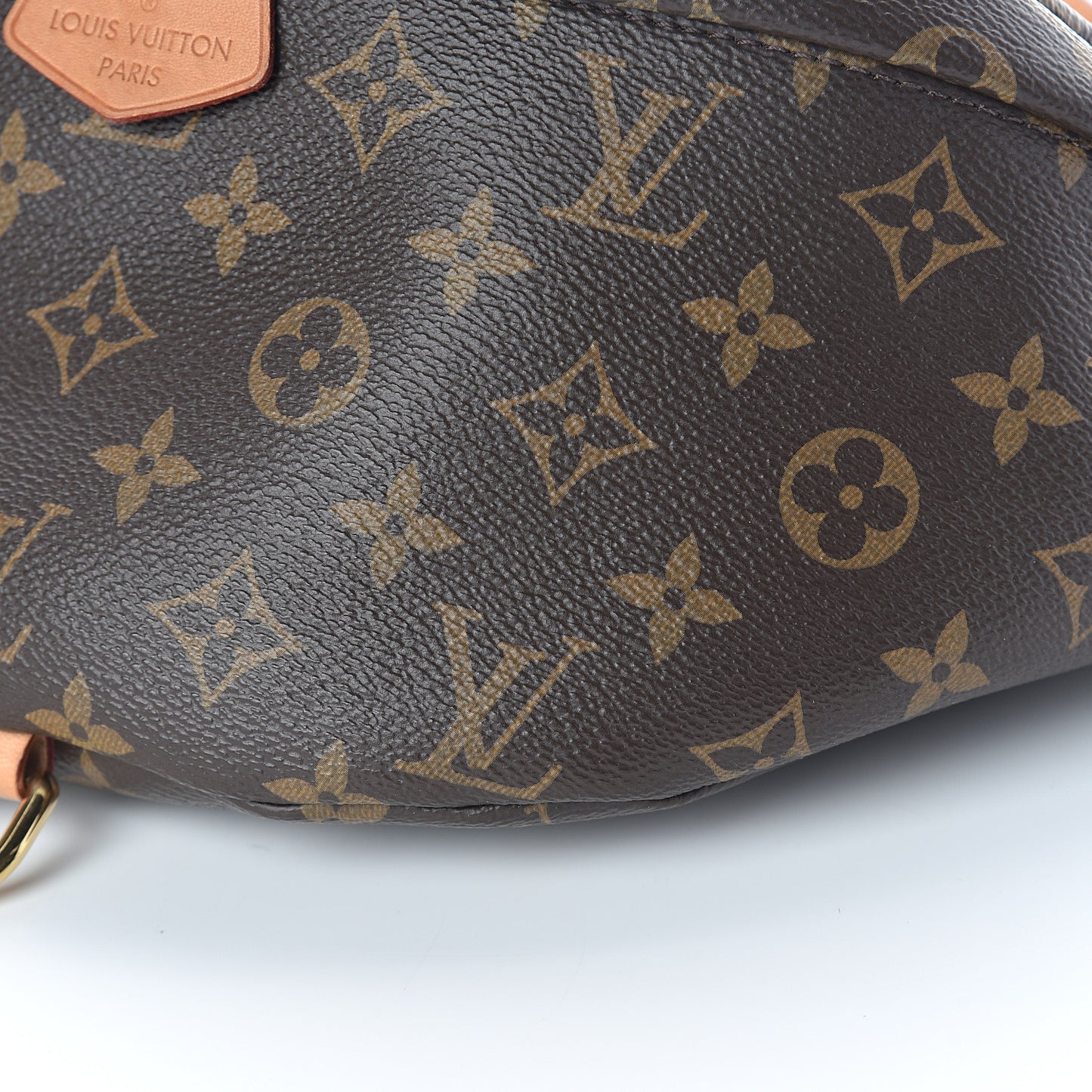 Monogram Bumbag