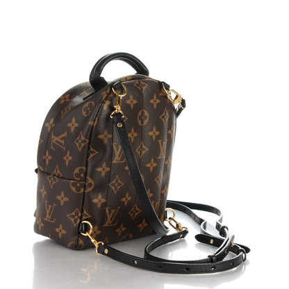 Louis Vuitton Monogram Palm Springs Backpack Mini 3 of 7