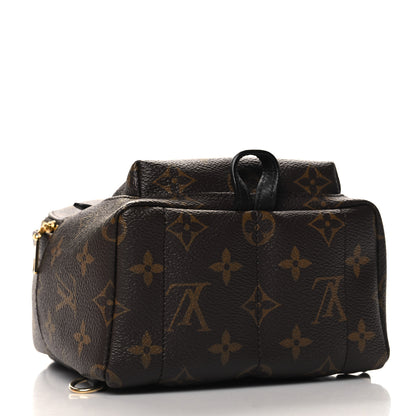 Louis Vuitton Monogram Palm Springs Backpack Mini 4 of 11
