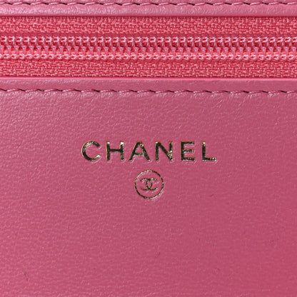 Chanel Lambskin Quilted Chanel 19 Wallet On Chain WOC Pink 6 of 10