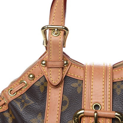 Louis Vuitton Monogram Theda PM 11 of 15