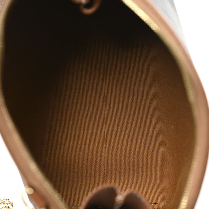 Celine Triomphe Canvas Lambskin Clutch On Chain Tan 5 of 11