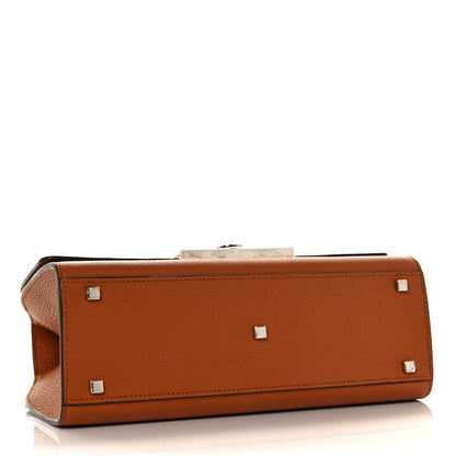 Moynat Taurillon Blush Rejane PM Cognac 3 of 7