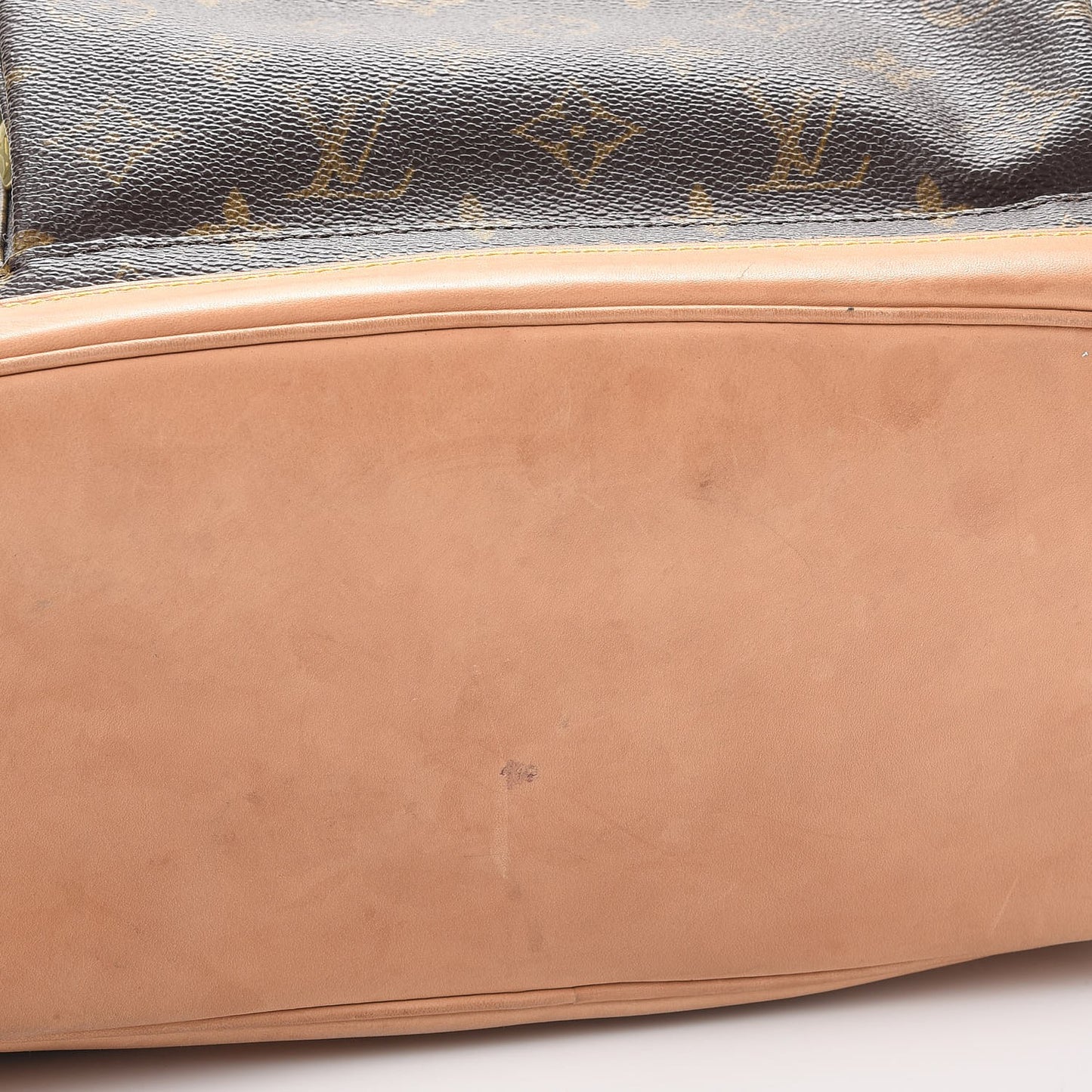 Monogram Montsouris GM Backpack