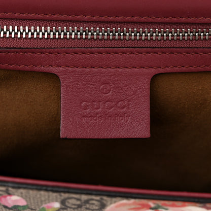 Gucci GG Supreme Monogram Blooms Medium Padlock Shoulder Bag Beige Multicolor Dry Rose 6 of 10
