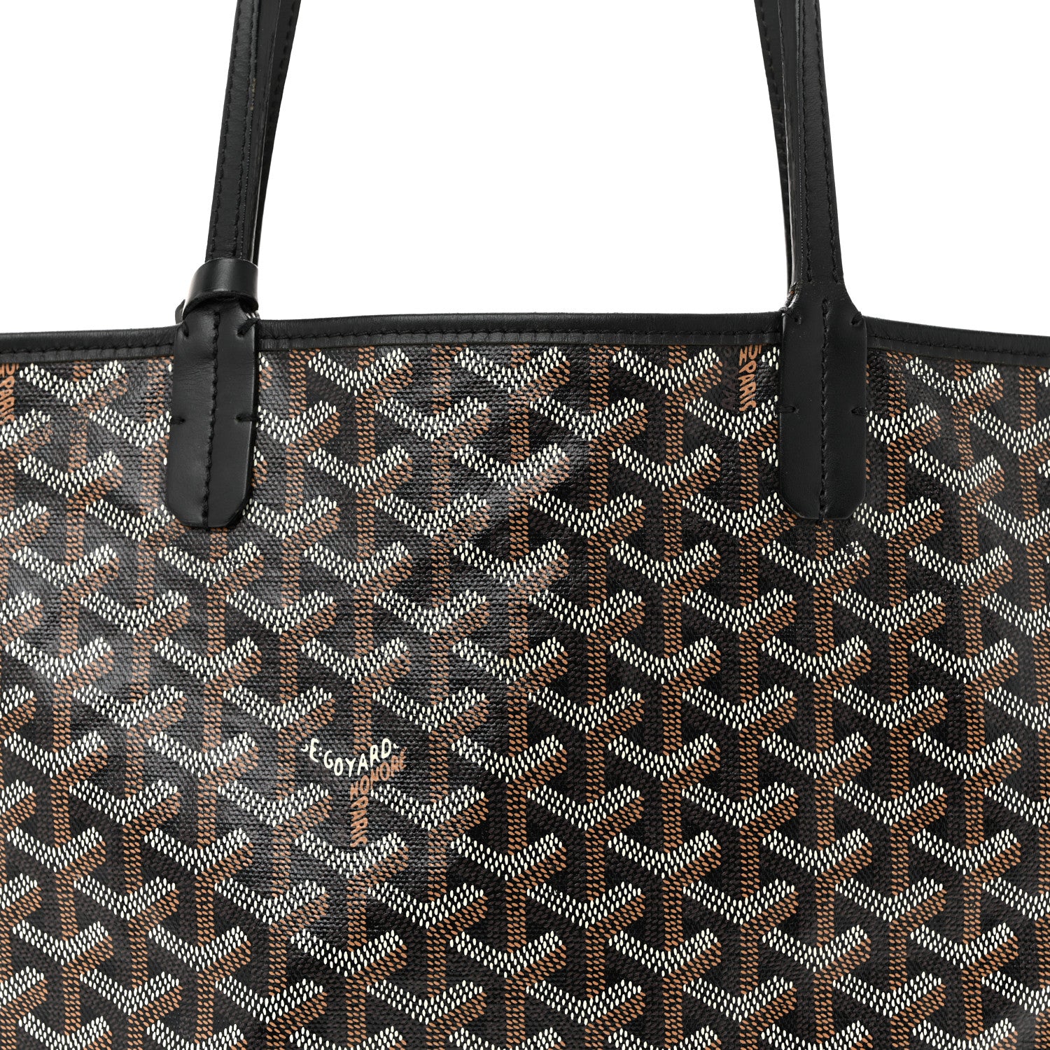 Goyard Goyardine Saint Louis PM Black 9 of 14