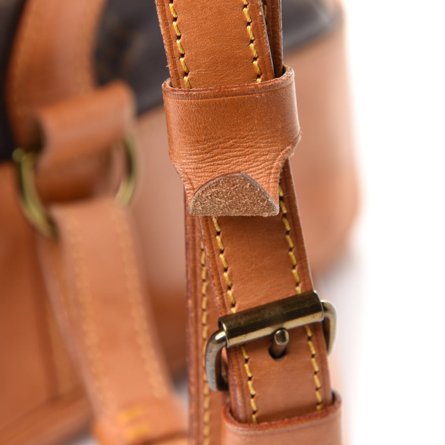 Monogram Randonnee GM Backpack