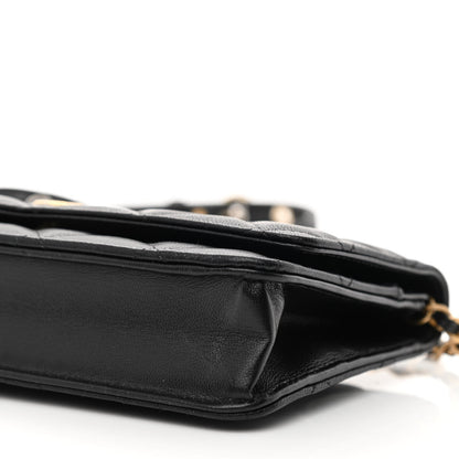 Chanel Goatskin Quilted Quilted Like A Wallet Wallet On Chain WOC Black 11 of 12