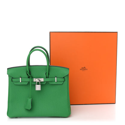 Hermes Togo Birkin 25 Bambou 38 of 38
