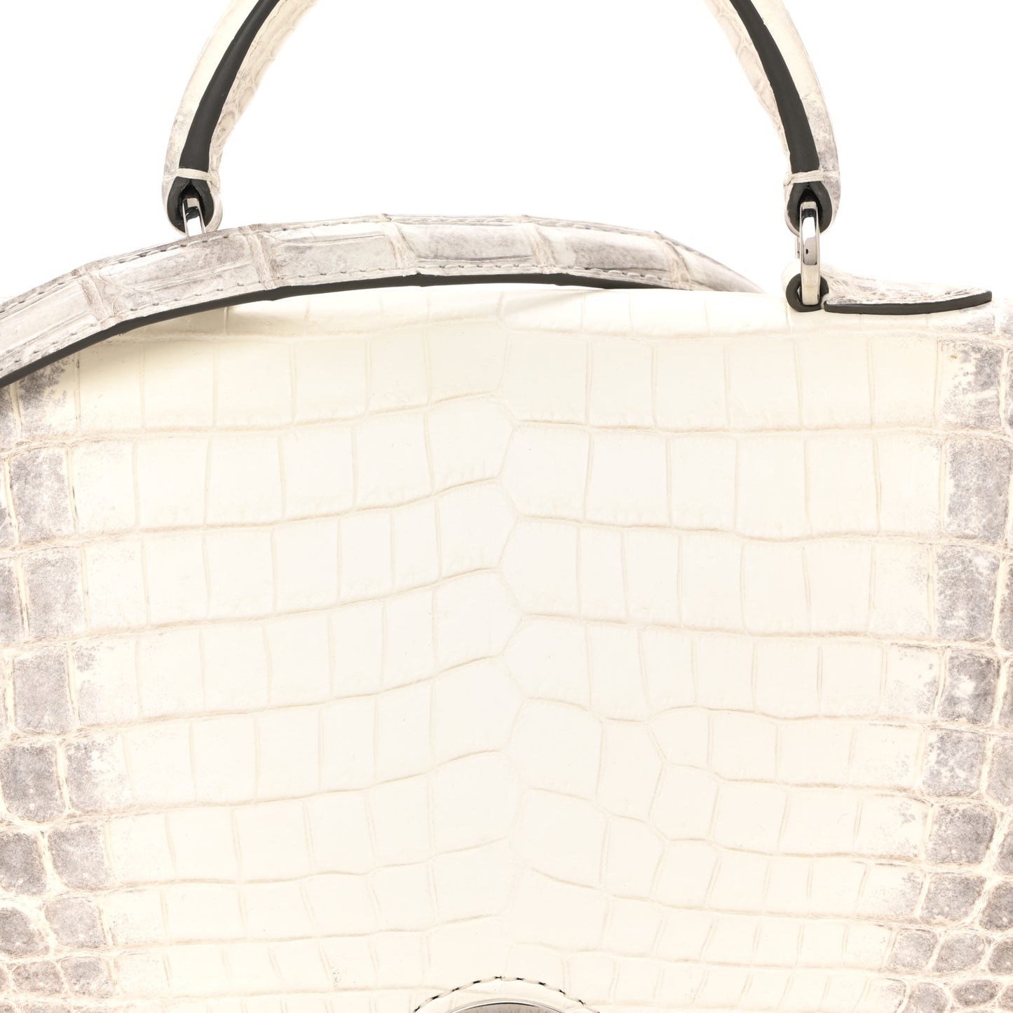 Niloticus Crocodile Himalaya Rejane BB White