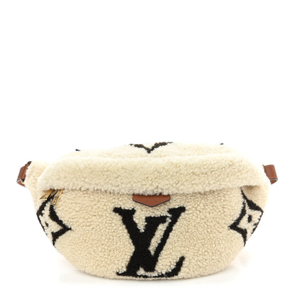 Louis Vuitton Monogram Teddy Bumbag 1 of 9