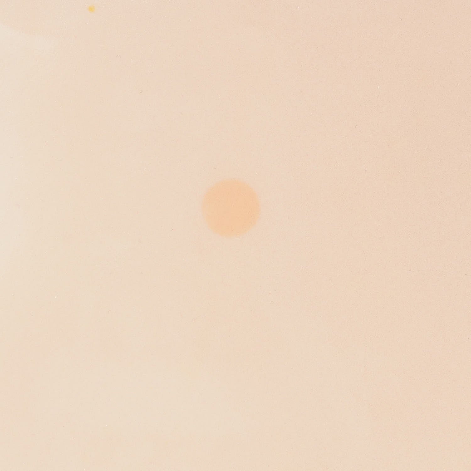 Louis Vuitton Vernis Alma PM Blanc Corail 8 of 8