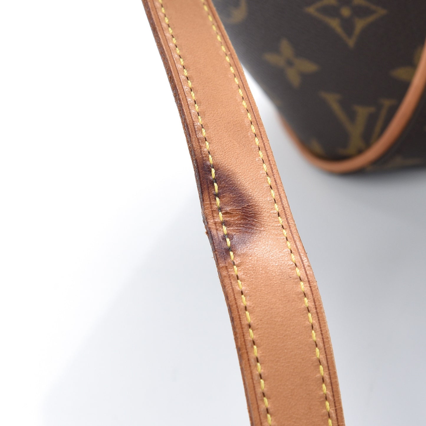 Monogram Ellipse GM Shopping Bag