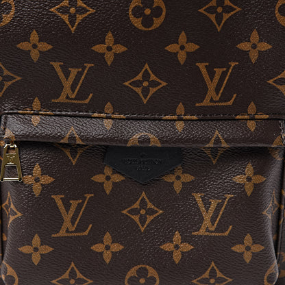 Louis Vuitton Monogram Palm Springs Backpack PM 10 of 10