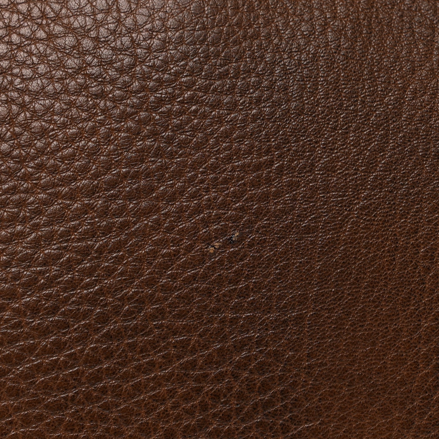 Prada Deerskin Tote Bruciato 16 of 21