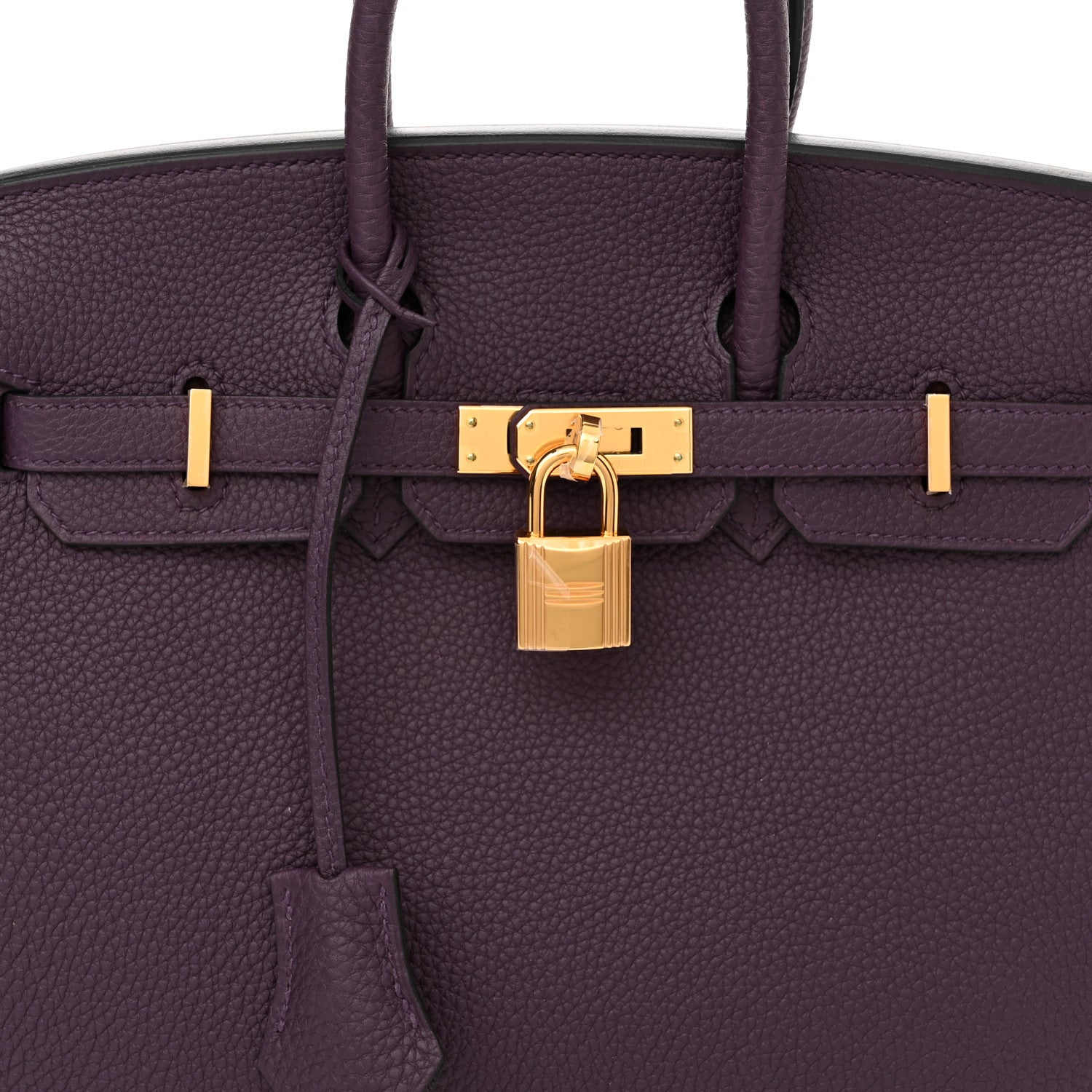 Hermes Togo Birkin 25 Cassis 8 of 11