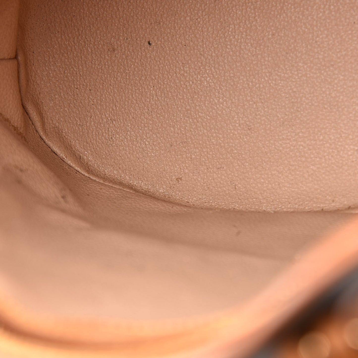 Monogram Petit Bucket 23