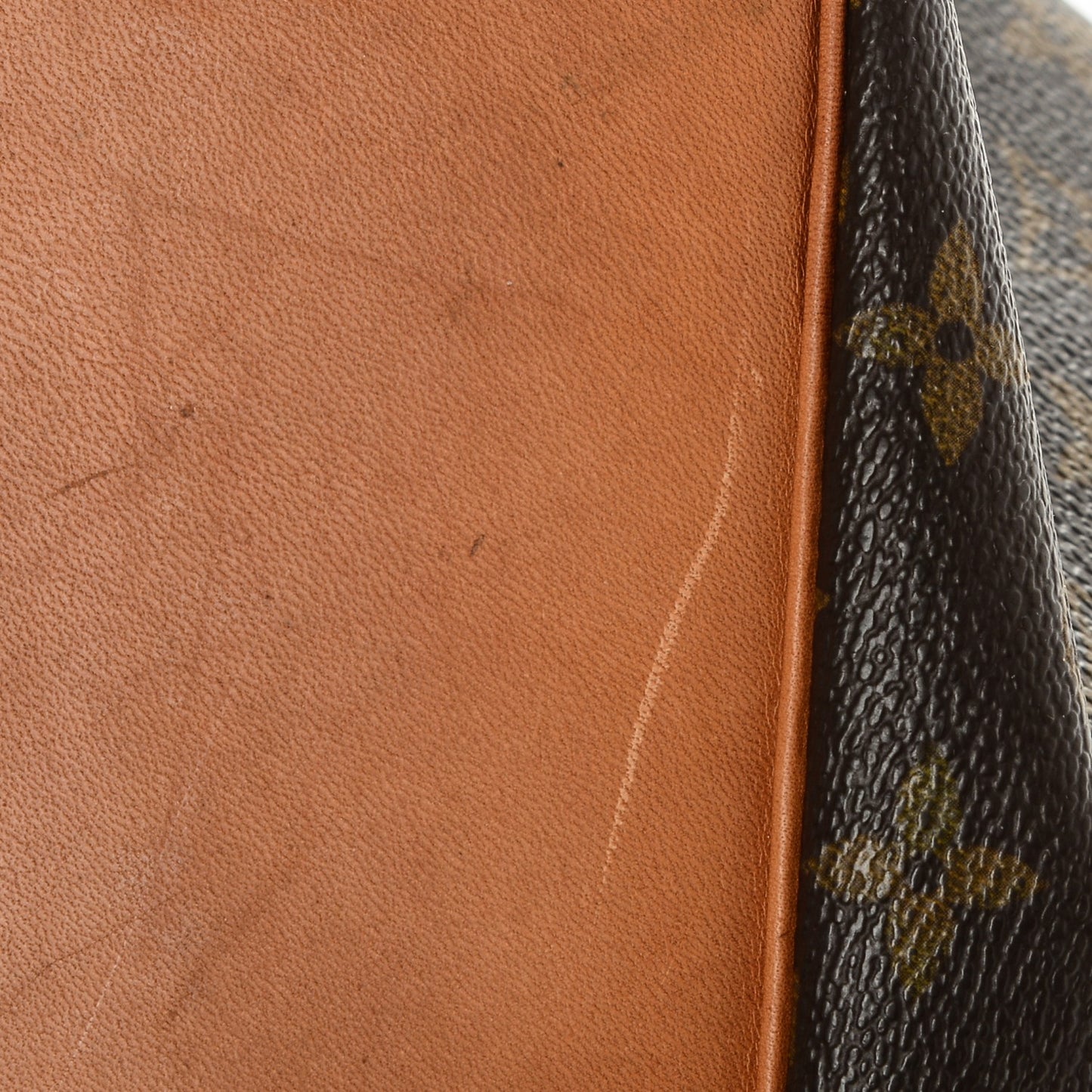 Monogram Petit Noe