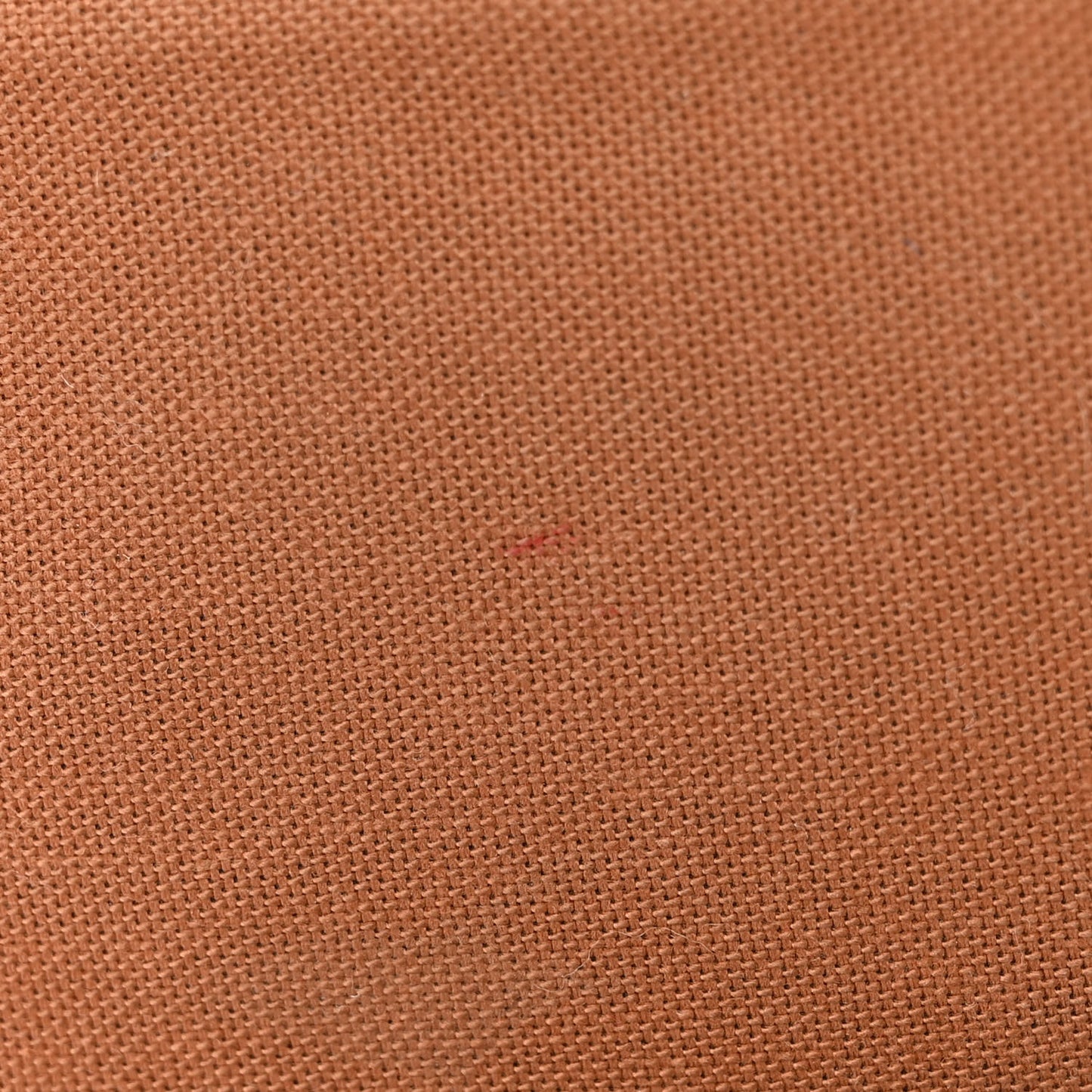 LOUIS VUITTON Monogram Mini Looping