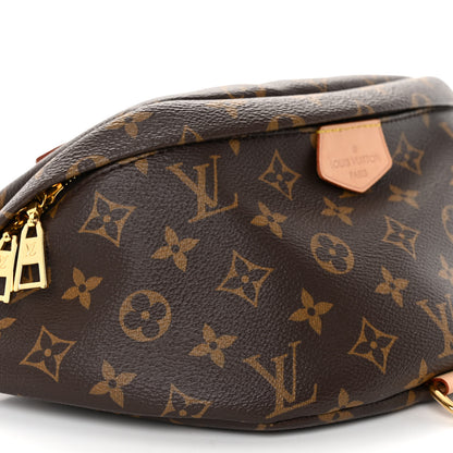 Louis Vuitton Monogram Bumbag 9 of 10