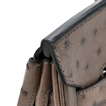 Hermes Ostrich Birkin 30 Mousse 17 of 20