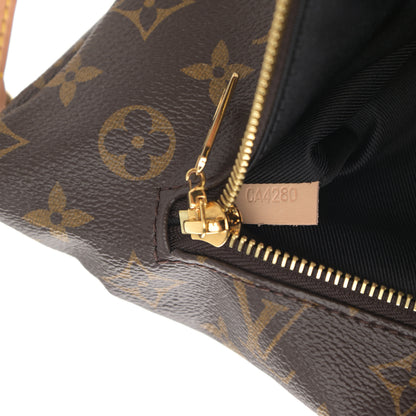 Louis Vuitton Monogram Bumbag 7 of 12