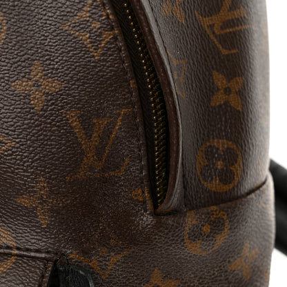 Louis Vuitton Monogram Palm Springs Backpack MM 17 of 22