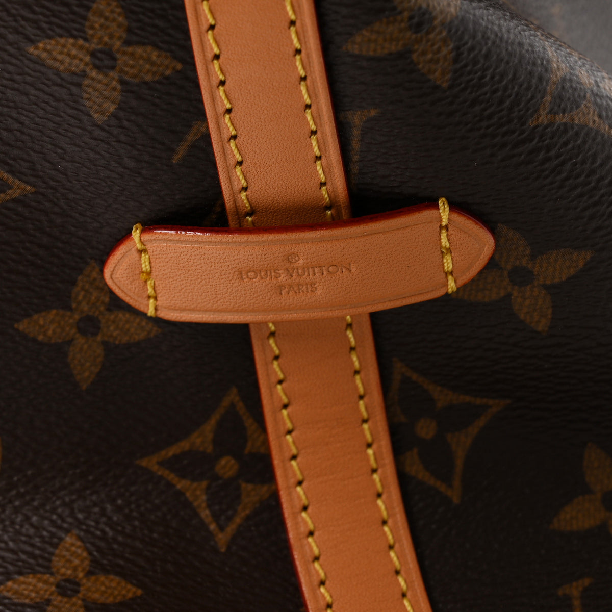 Monogram Carryall MM