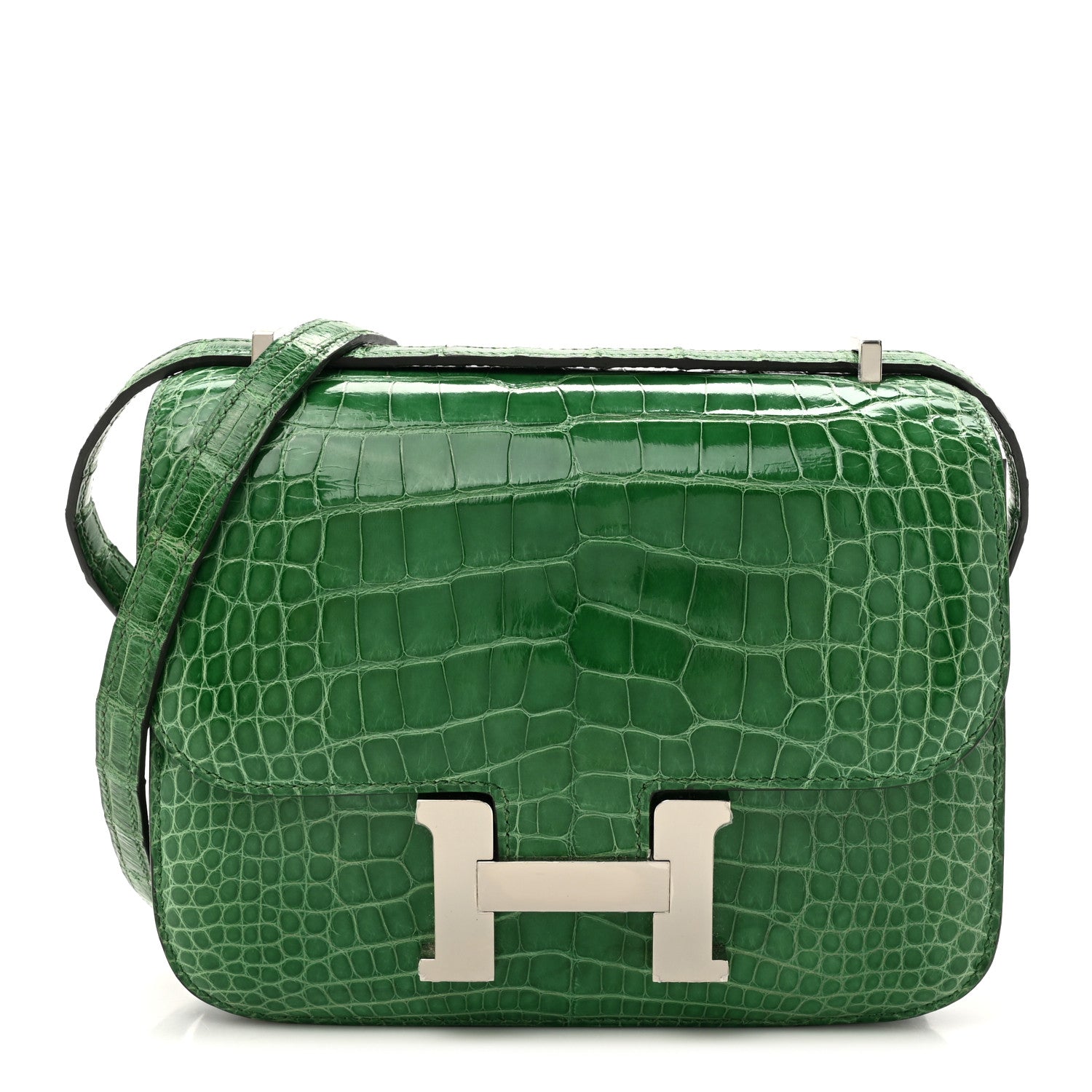 Hermes Shiny Alligator Constance 18 Cactus 1 of 13