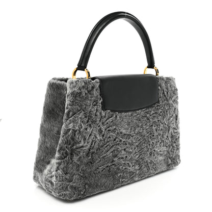 Louis Vuitton Astrakhan Capucines MM Gray 3 of 12