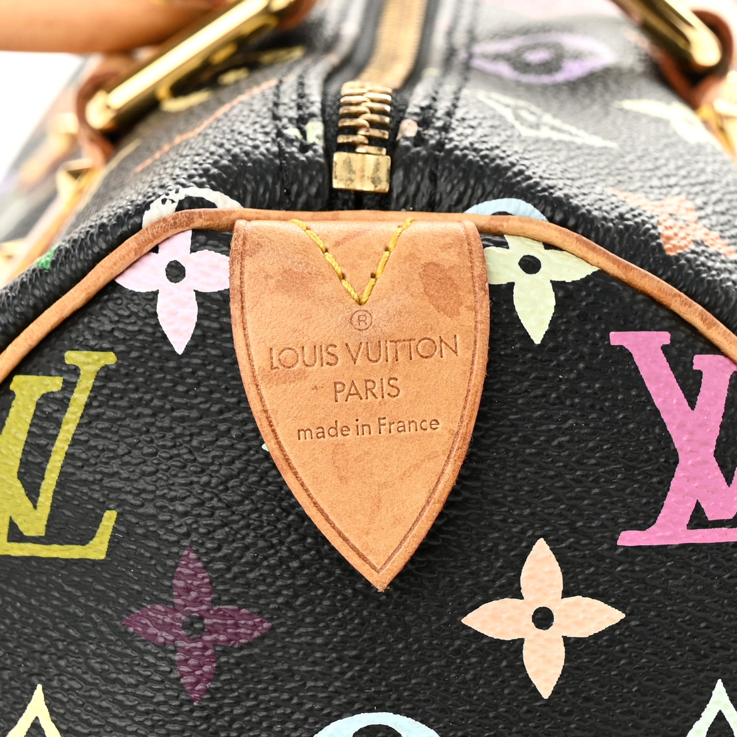 Monogram Multicolor Speedy 30 Black