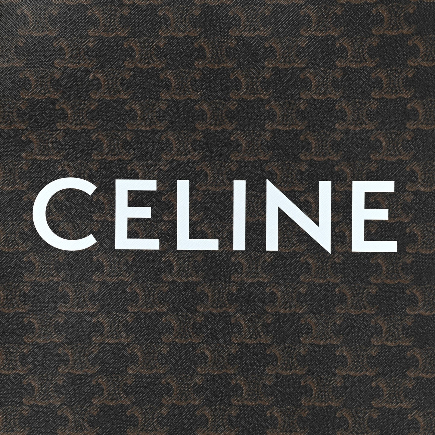 Triomphe Canvas Calfskin Small Vertical Cabas Tan