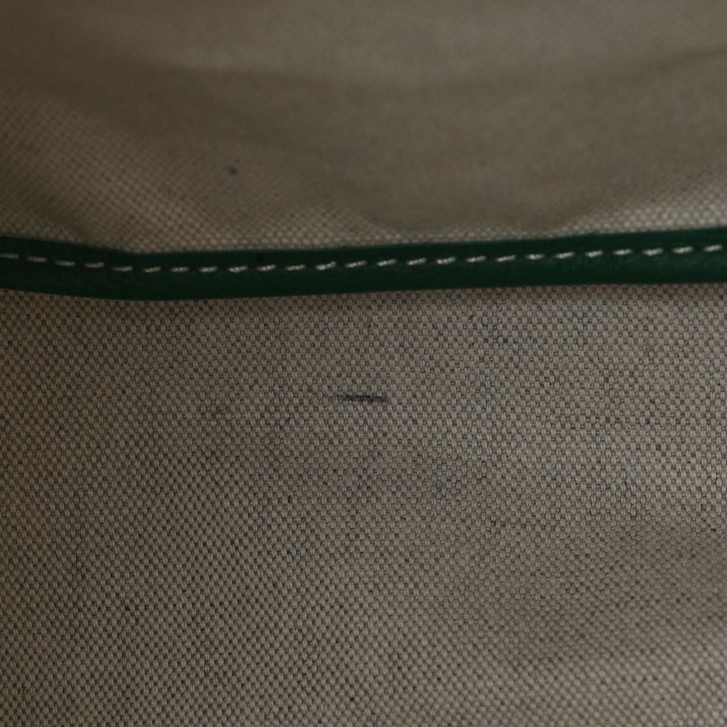 Goyardine Saint Louis PM Green
