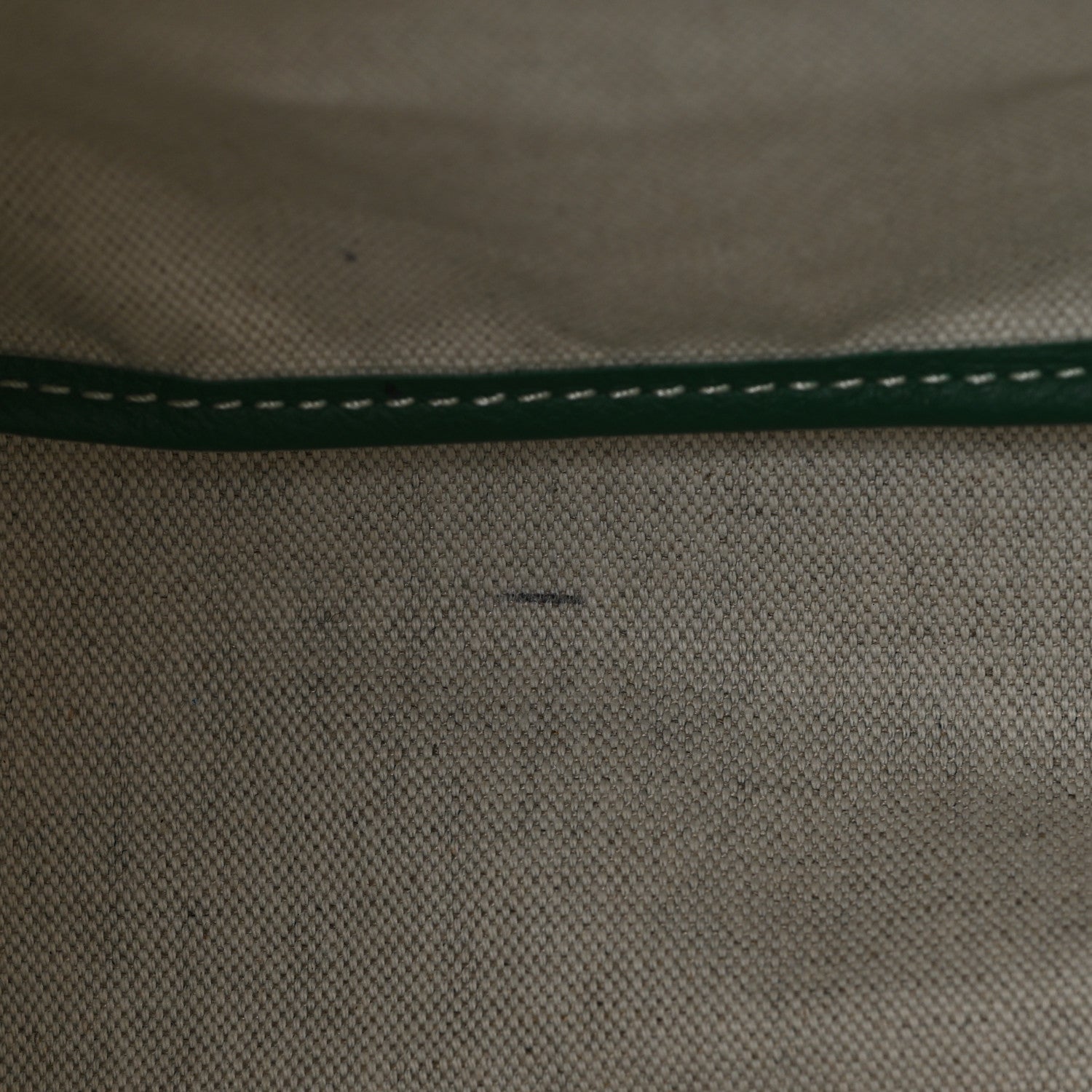 Goyard Goyardine Saint Louis PM Green 12 of 12