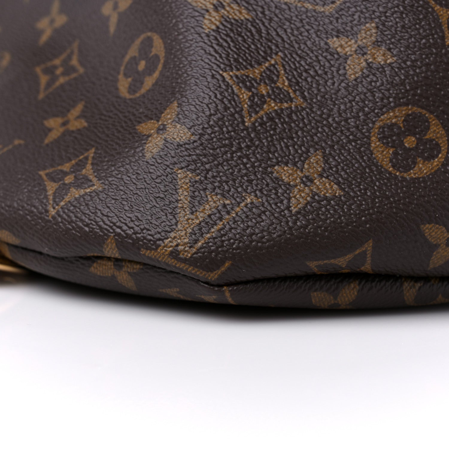 Louis Vuitton Monogram Bumbag 9 of 10