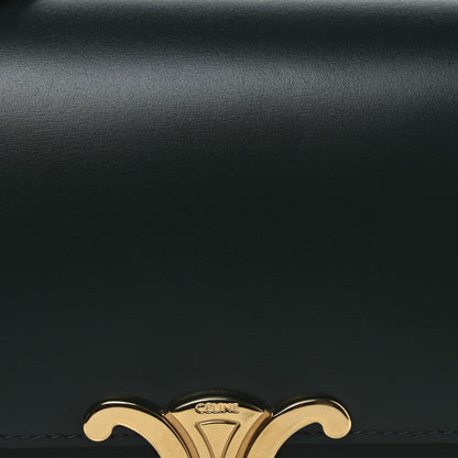 Celine Shiny Calfskin Medium Triomphe Amazone 9 of 11