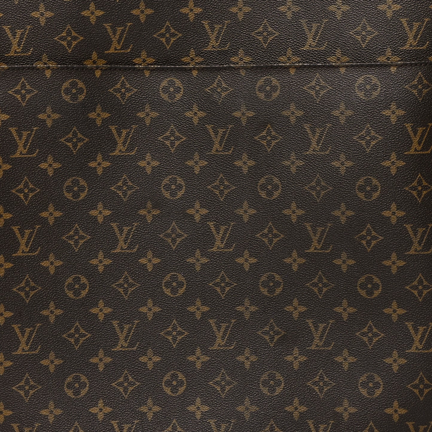 Monogram Pegase 50 Business