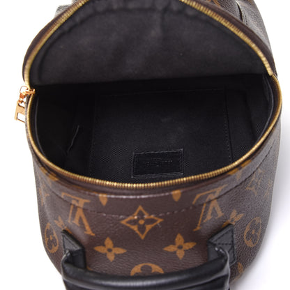 Louis Vuitton Monogram Palm Springs Backpack Mini 5 of 11
