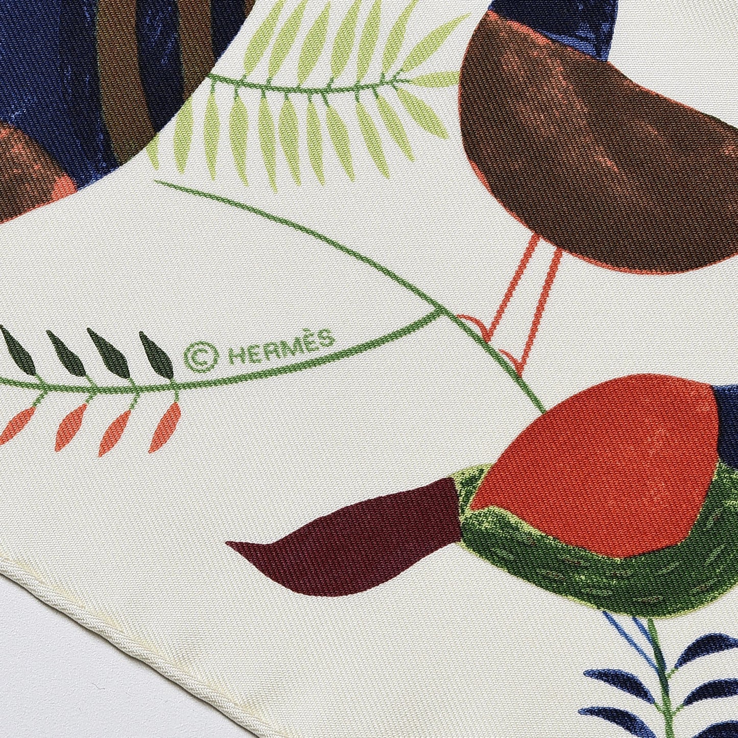 Silk Le Bal Des Oiseaux Scarf 90 Ecru Vert Brique