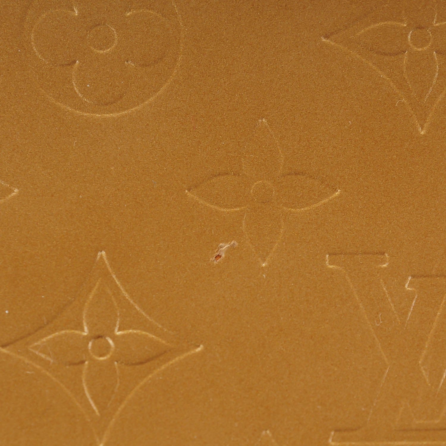 Louis Vuitton Monogram Mat Malden Ambre 10 of 10